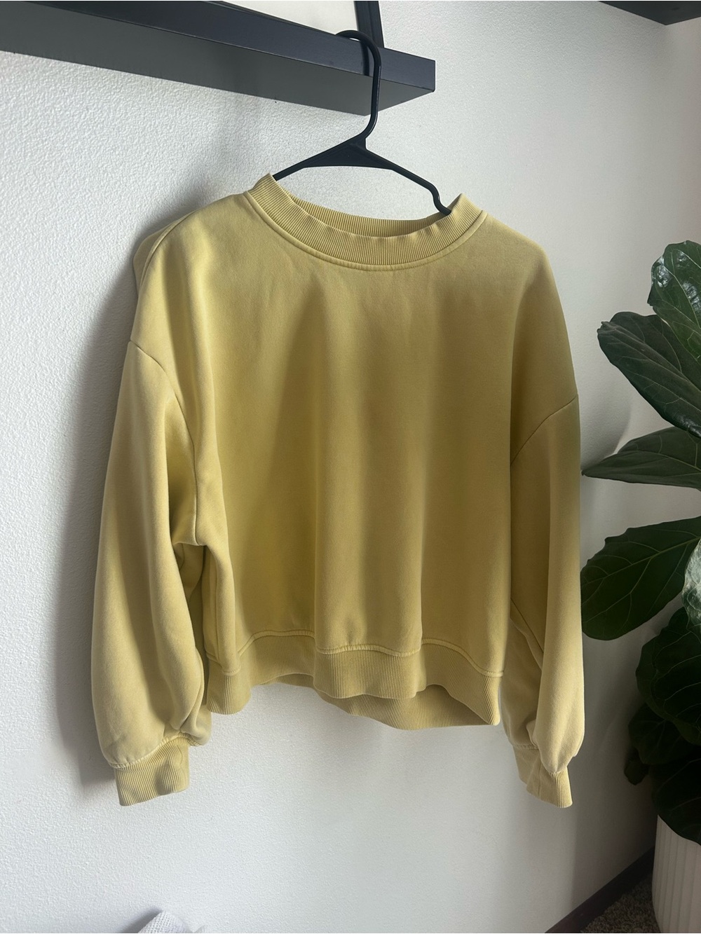 & Other Stories Pale Yellow Cropped Crewneck Sweatshirt